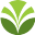 Olam South Africa